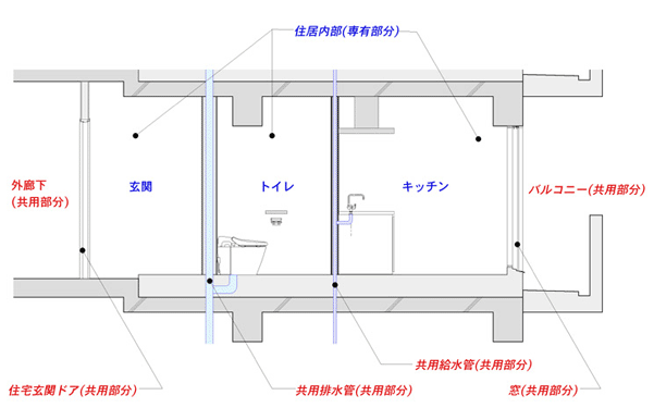 専有と共用