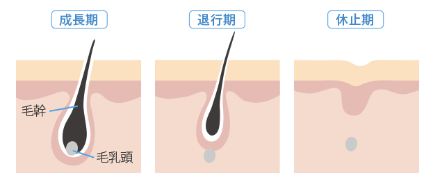 渋谷美容外科クリニック