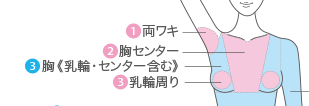 エピレ胸