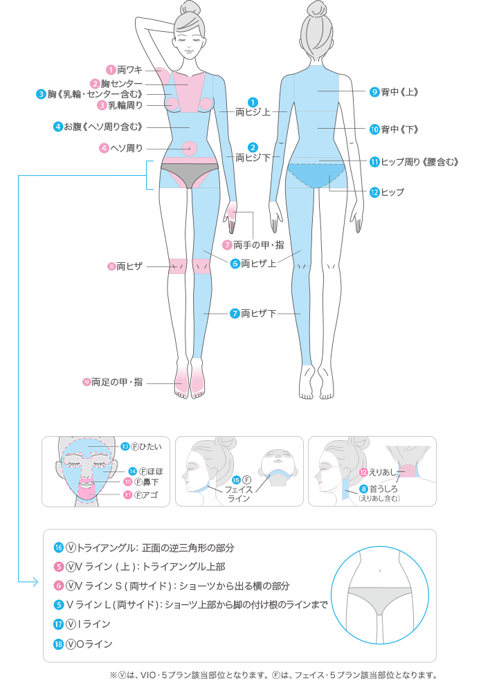 エピレ_脱毛パーツ