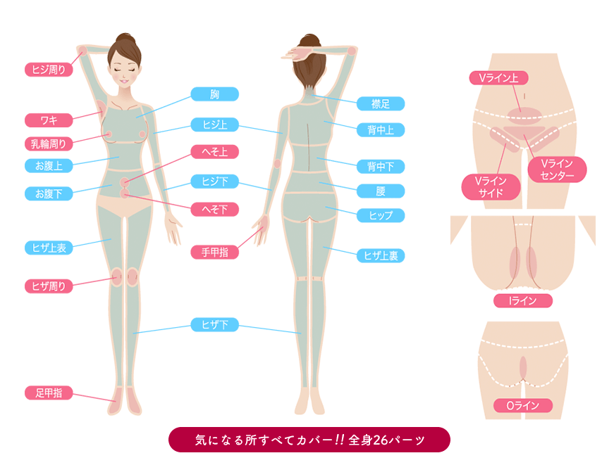 レイビス_全身デビュープラン