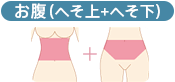 聖心美容_腹イラスト