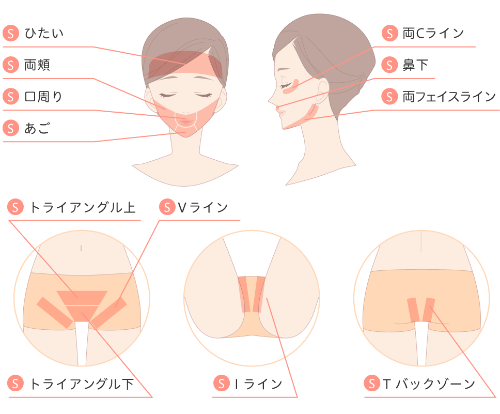 ジェイエステ_顔