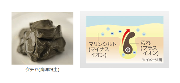 ストレピア_イオン図