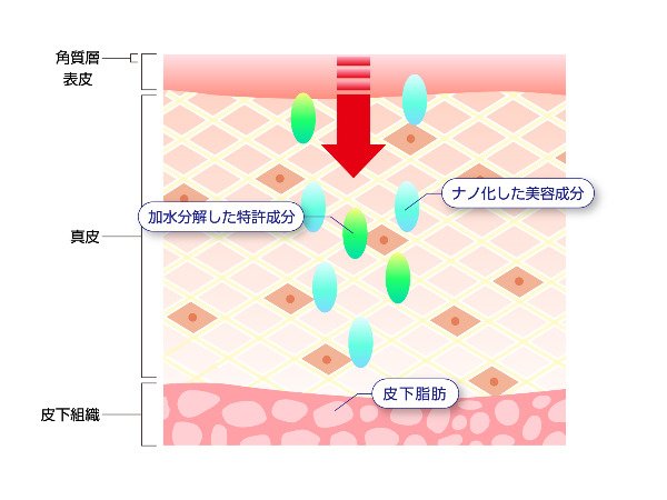 ナノ化イラスト