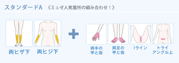 ミュゼ_全身バリュー
