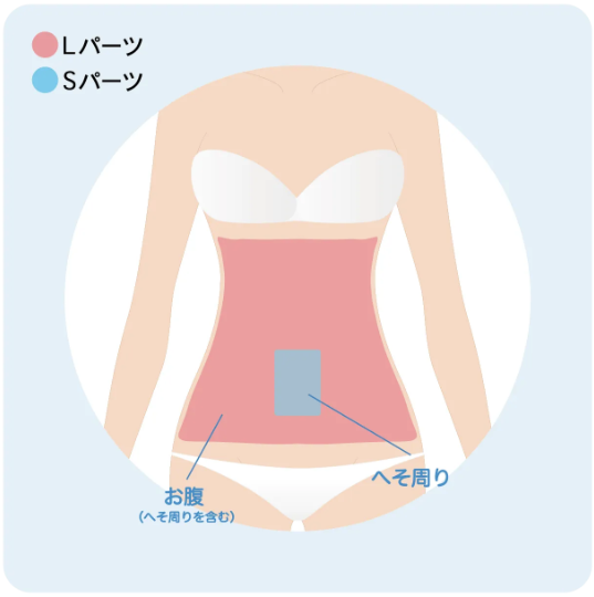 ミュゼ_腹イラスト