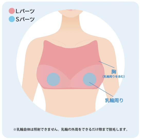 ミュゼ胸部位