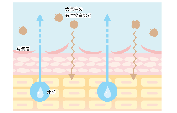 乾燥肌イラスト