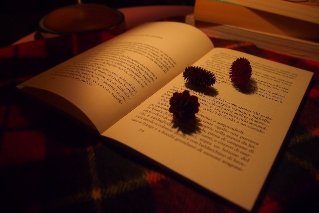夜の読書