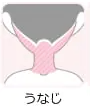うなじ範囲