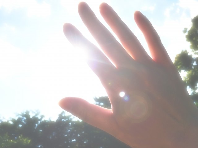 眩しい太陽