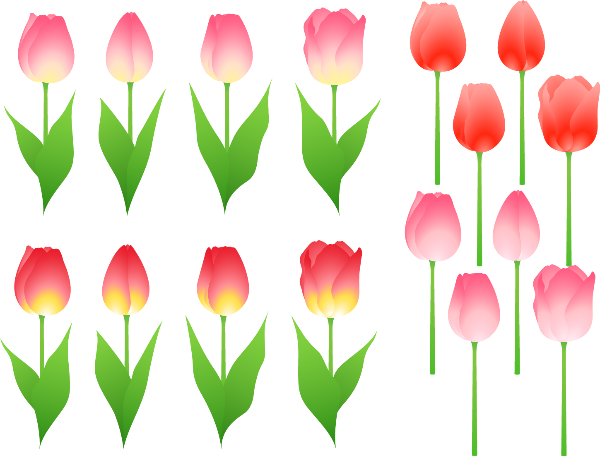 赤の違う花イラスト