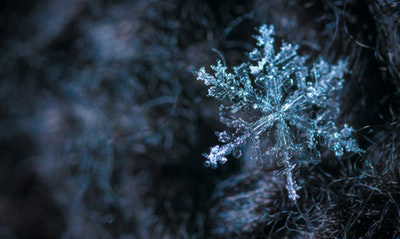 雪の結晶